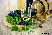 măsuri de sprijin excepţionale pentru sectorul vinicol